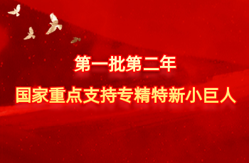 全国仅575家 | 北方PA真人入选第一批第二年国度沉点支持专精特新幼巨人